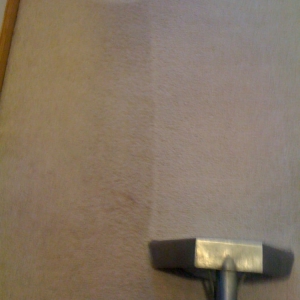 Photo of Real Clean Carpets & More