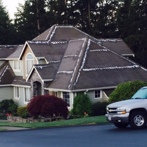 Photo of Beautiful Day Cleaning Company