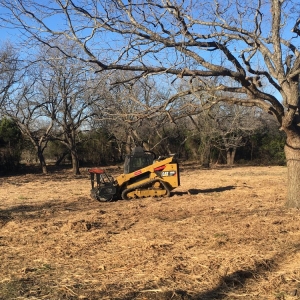 Photo of Walt's Excavation and Brush Clearing