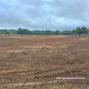 Photo of Walt's Excavation and Brush Clearing