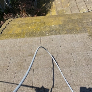 Photo of Tri County Power Washing