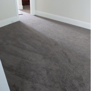 Photo of Fred Thayer Carpets