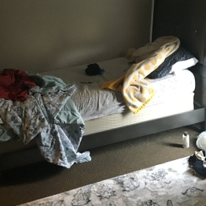Photo of A Home Maid Clean, Inc
