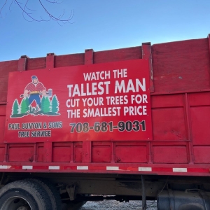 Photo of Paul Bunyon & Sons Tree Services