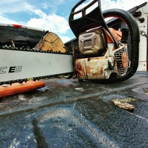 Photo of Tufts Tree Service
