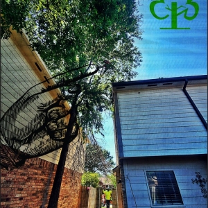 Photo of Tufts Tree Service