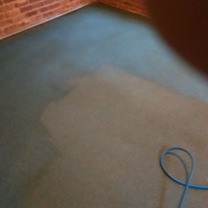 Photo of Carpet Technologies