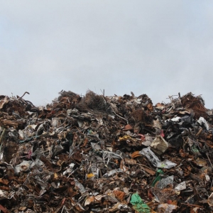 Photo of Bulk Trash Removal