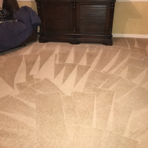 Photo of 24Hr Pure Carpet Care