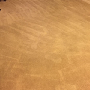 Photo of 24Hr Pure Carpet Care