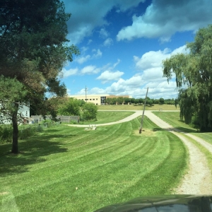 Photo of K&T landscaping Services