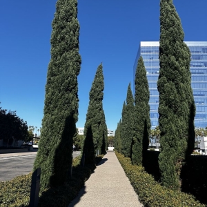 Photo of La Jolla Center