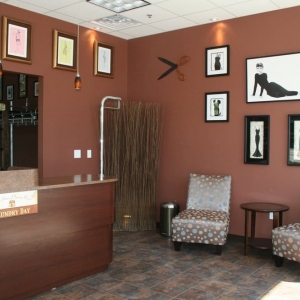 Photo of Clevergreen Professional Dry Cleaners