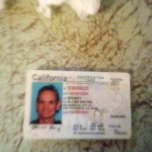 Photo of Check Into Cash