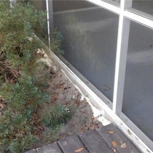 Photo of Alpha Foundations