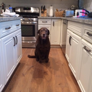 Photo of Precision Flooring