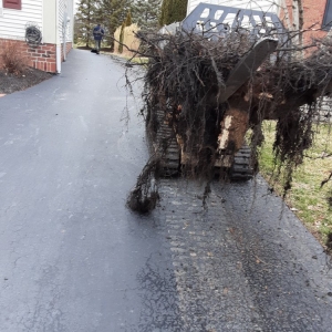Columbus Sarita's Landscaping