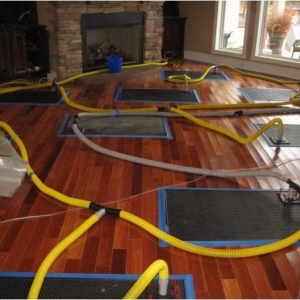 Photo of 1-800 WATER DAMAGE of Pembroke Pines