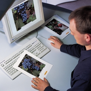 Photo of Image Zone Printing & Graphics