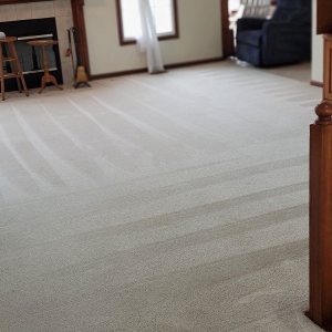 Photo of Premier Performance Carpet Cleaning