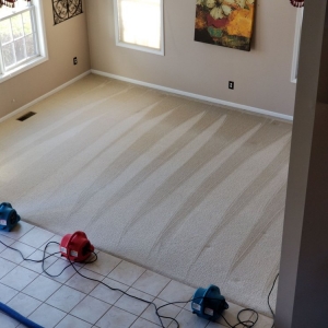 Photo of Premier Performance Carpet Cleaning