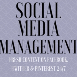 Photo of The Web Silo Online Marketing