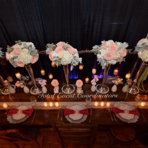Photo of Total Event Coordinators, LLC