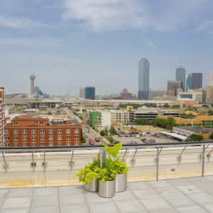 Photo of South Side on Lamar