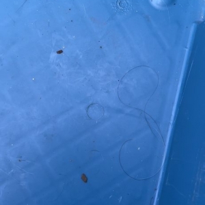 Photo of Bin-It