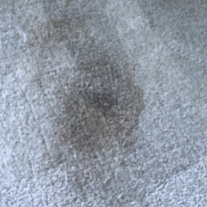 Photo of Safe-Dry Carpet Cleaning