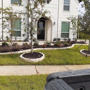Dallas Alvarez Landscaping