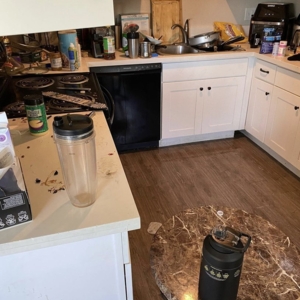 Photo of The Cleaning Bears