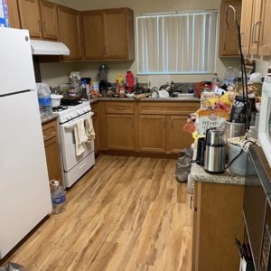 Photo of The Cleaning Bears