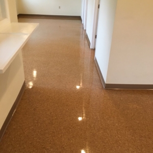 Photo of CareClean Building Services