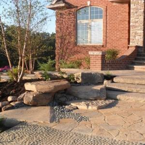 Photo of dallthomas plantscapes