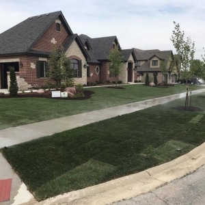 Photo of dallthomas plantscapes