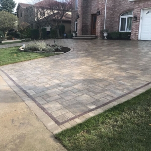 Photo of dallthomas plantscapes