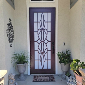 San Diego Den Defenders Security Doors
