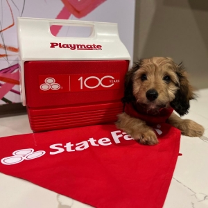 Photo of Sharon Layman - State Farm Insurance Agent