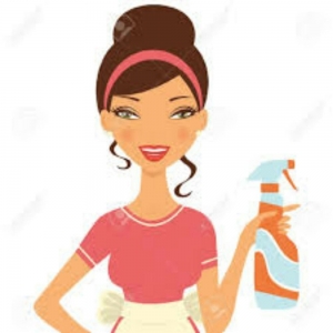 Photo of Friendly House Cleaning