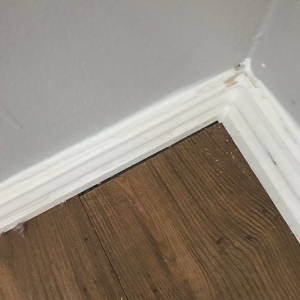 Photo of Nadine Floor Company