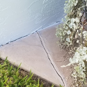 Photo of Concrete Solutions