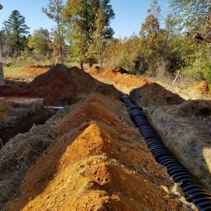 Photo of Diggin N Dozin