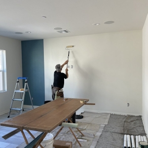 San Diego Blatt Wallcovering