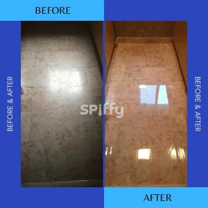 Photo of Spiffy Maintenance