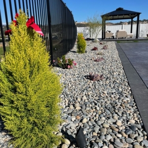 Photo of Sunlight Landscaping