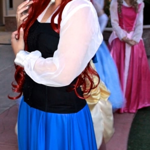 Photo of Precious Princess Parties