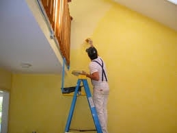 Photo of Advance Pros Painters