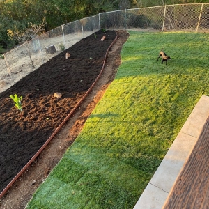 Photo of Best Quality Lawn & Gardening Services