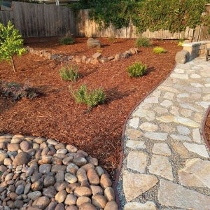Photo of Best Quality Lawn & Gardening Services